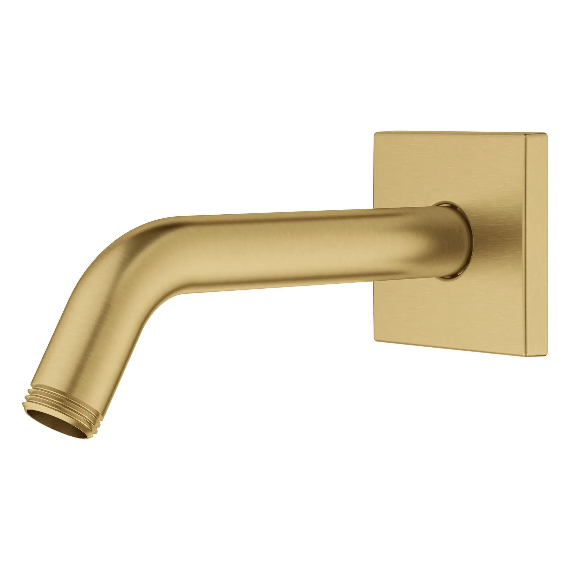 6" Shower Arm