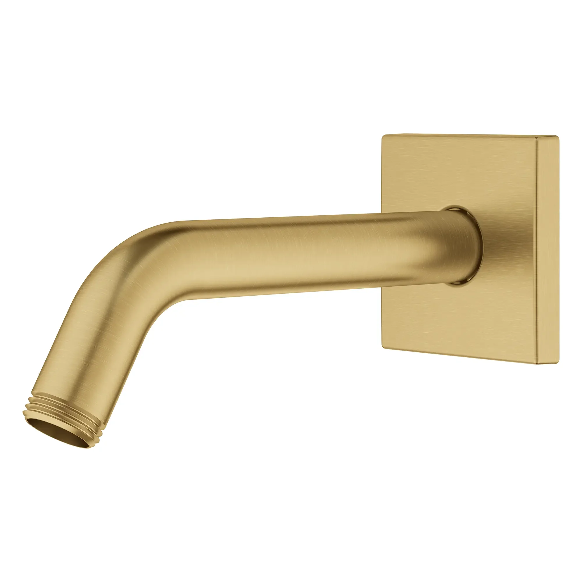 6" Shower Arm