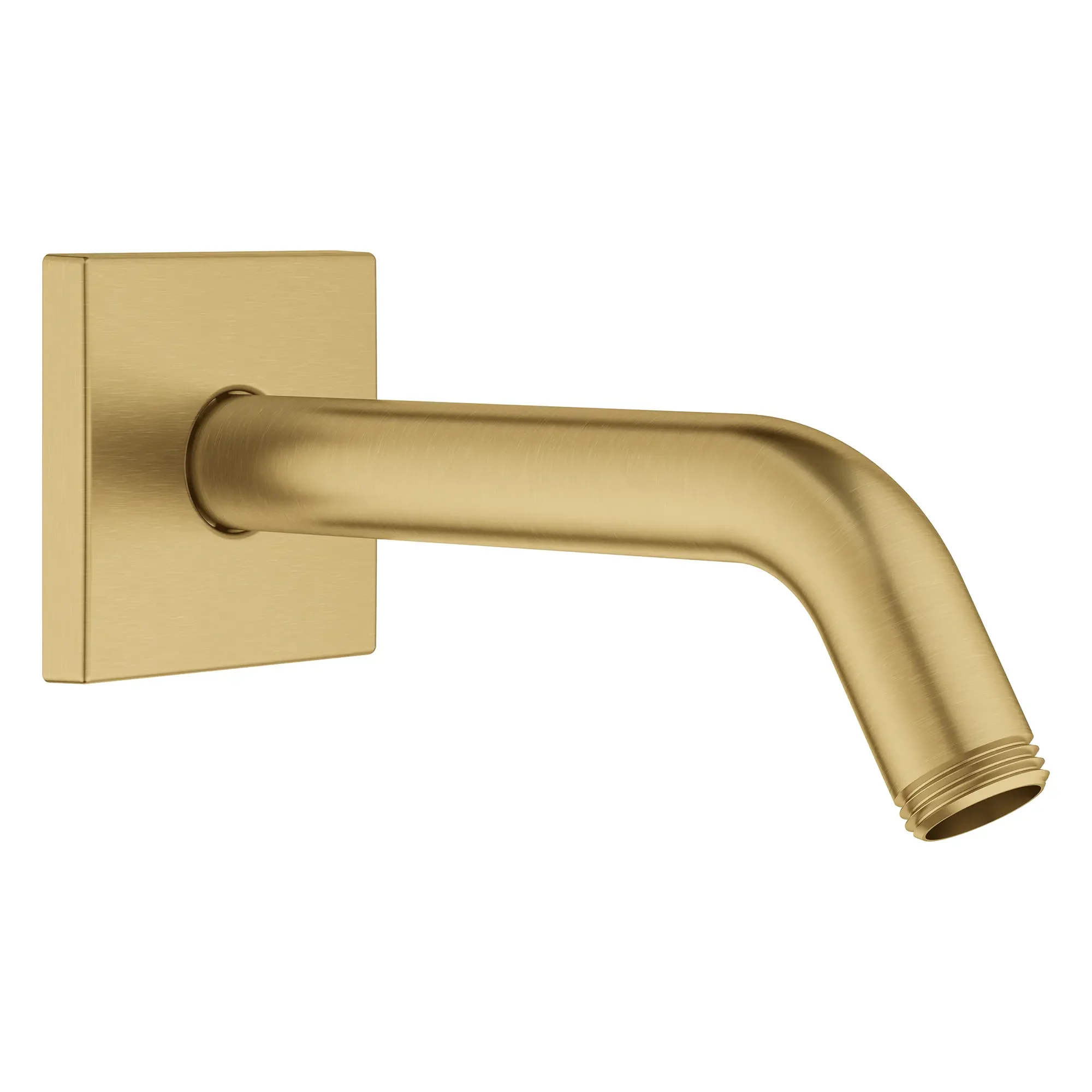 6" Shower Arm