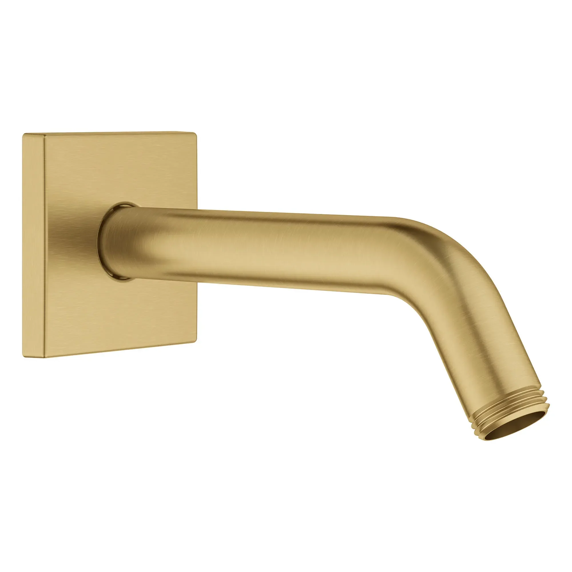 6" Shower Arm