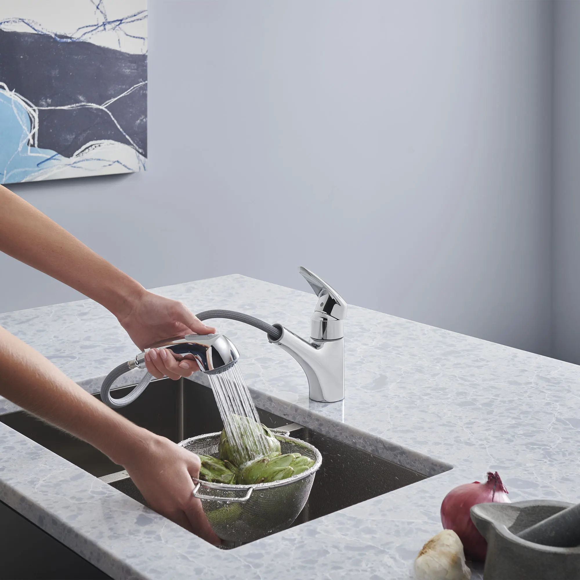 Eurodisc Single-Handle Pull-Out Kitchen Faucet Dual Spray 1.75 GPM