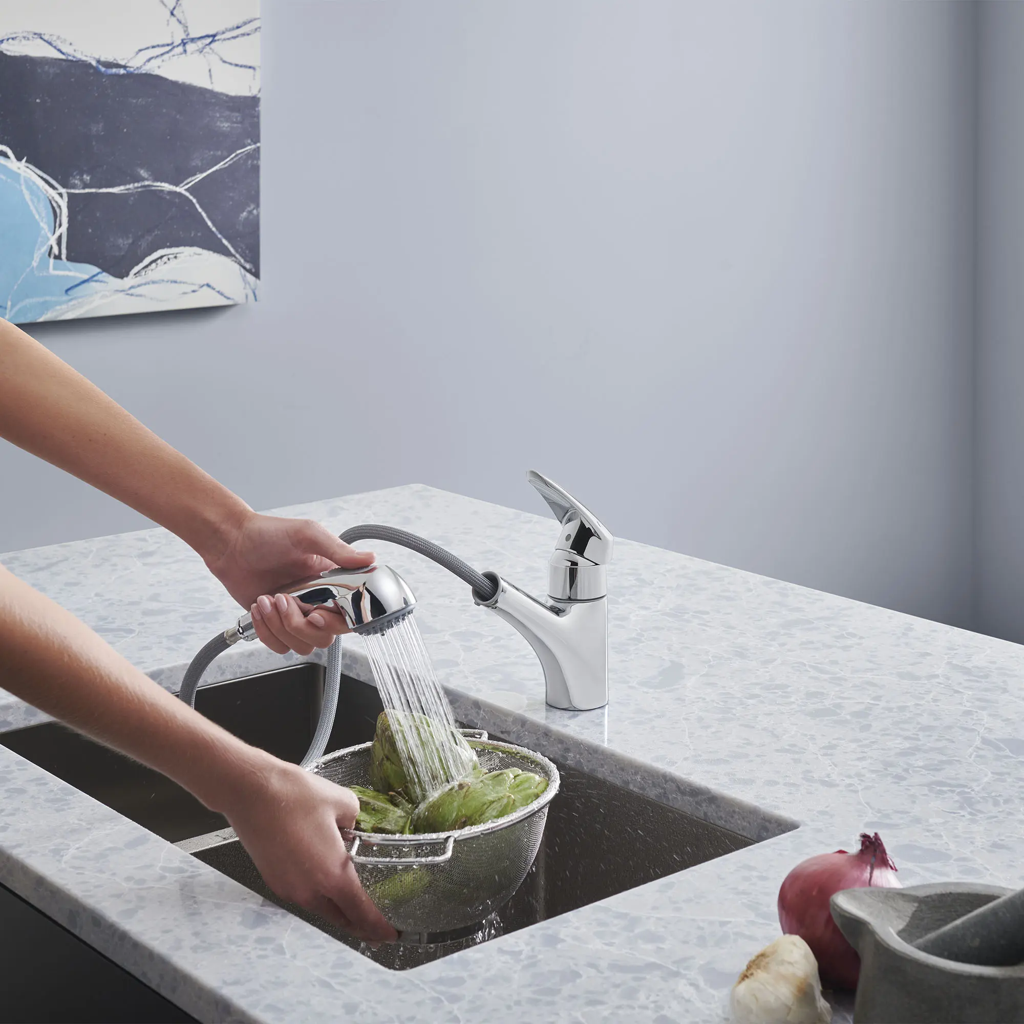 Eurodisc Single-Handle Pull-Out Kitchen Faucet Dual Spray 1.75 GPM