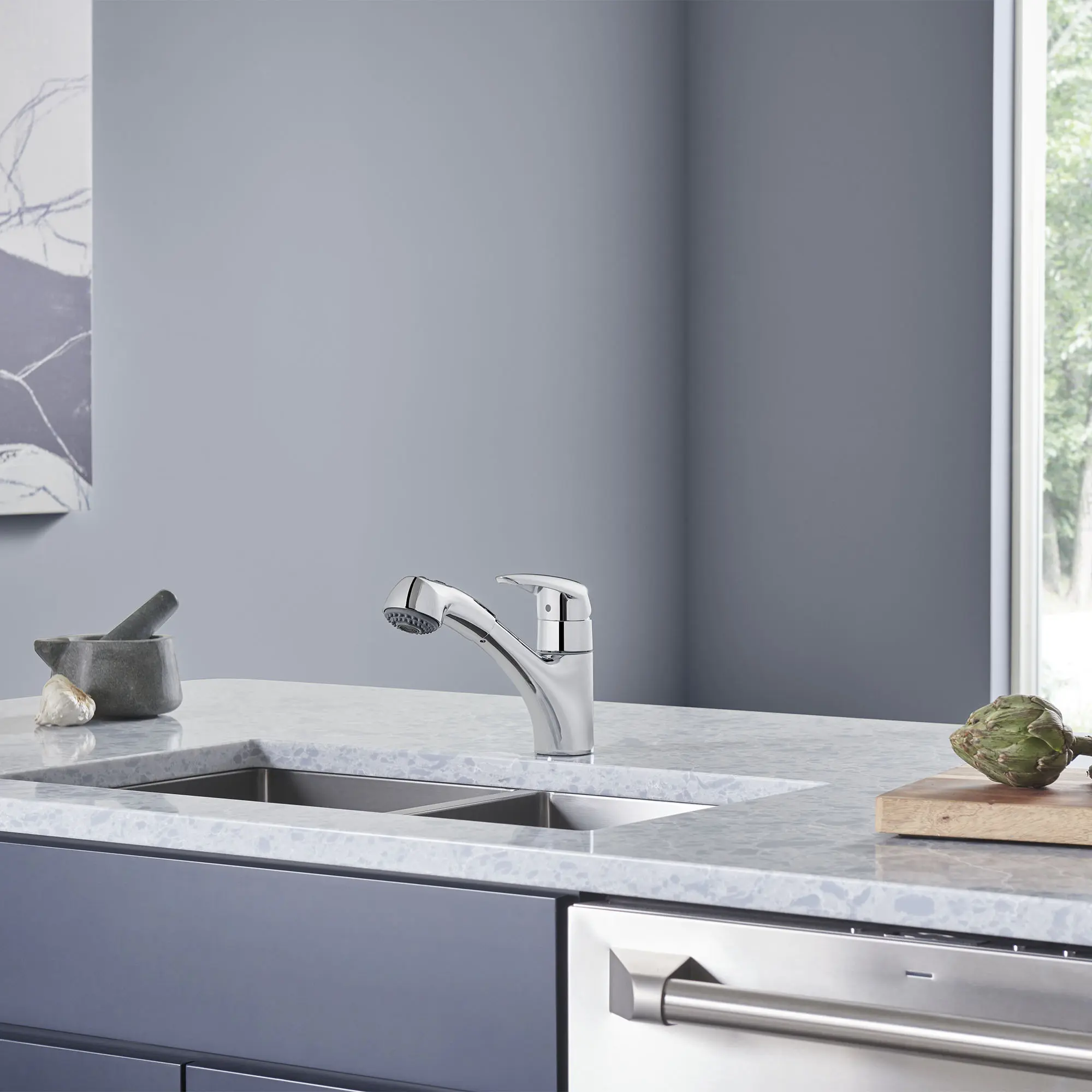 Eurodisc Single-Handle Pull-Out Kitchen Faucet Dual Spray 1.75 GPM
