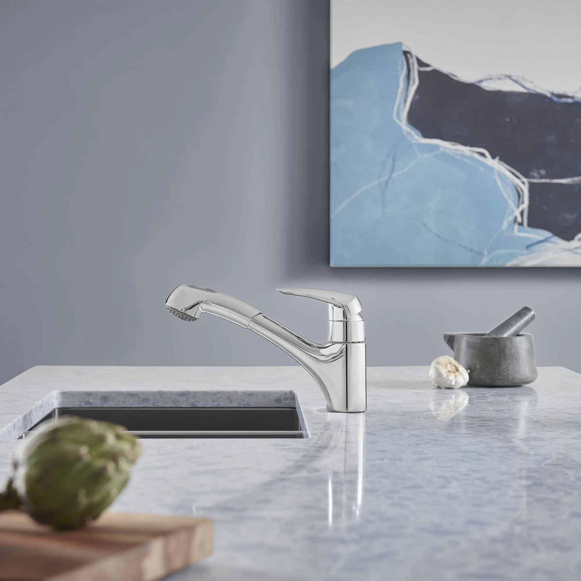 Eurodisc Single-Handle Pull-Out Kitchen Faucet Dual Spray 1.75 GPM