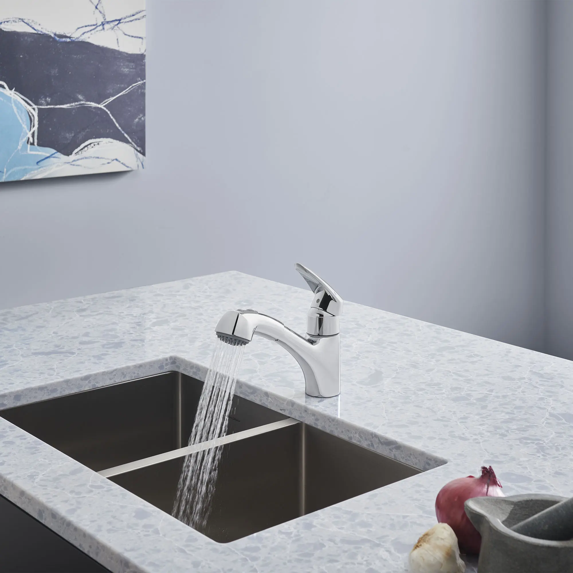 Eurodisc Single-Handle Pull-Out Kitchen Faucet Dual Spray 1.75 GPM