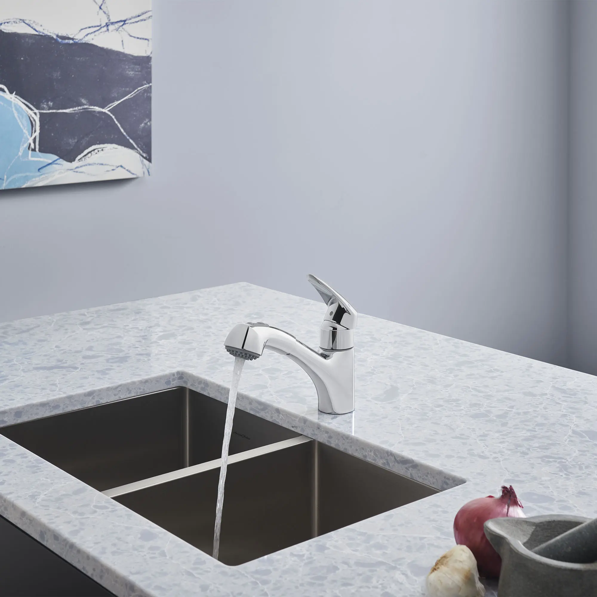 Eurodisc Single-Handle Pull-Out Kitchen Faucet Dual Spray 1.75 GPM